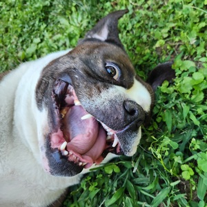 Fundraising Page: Leslie Truluck